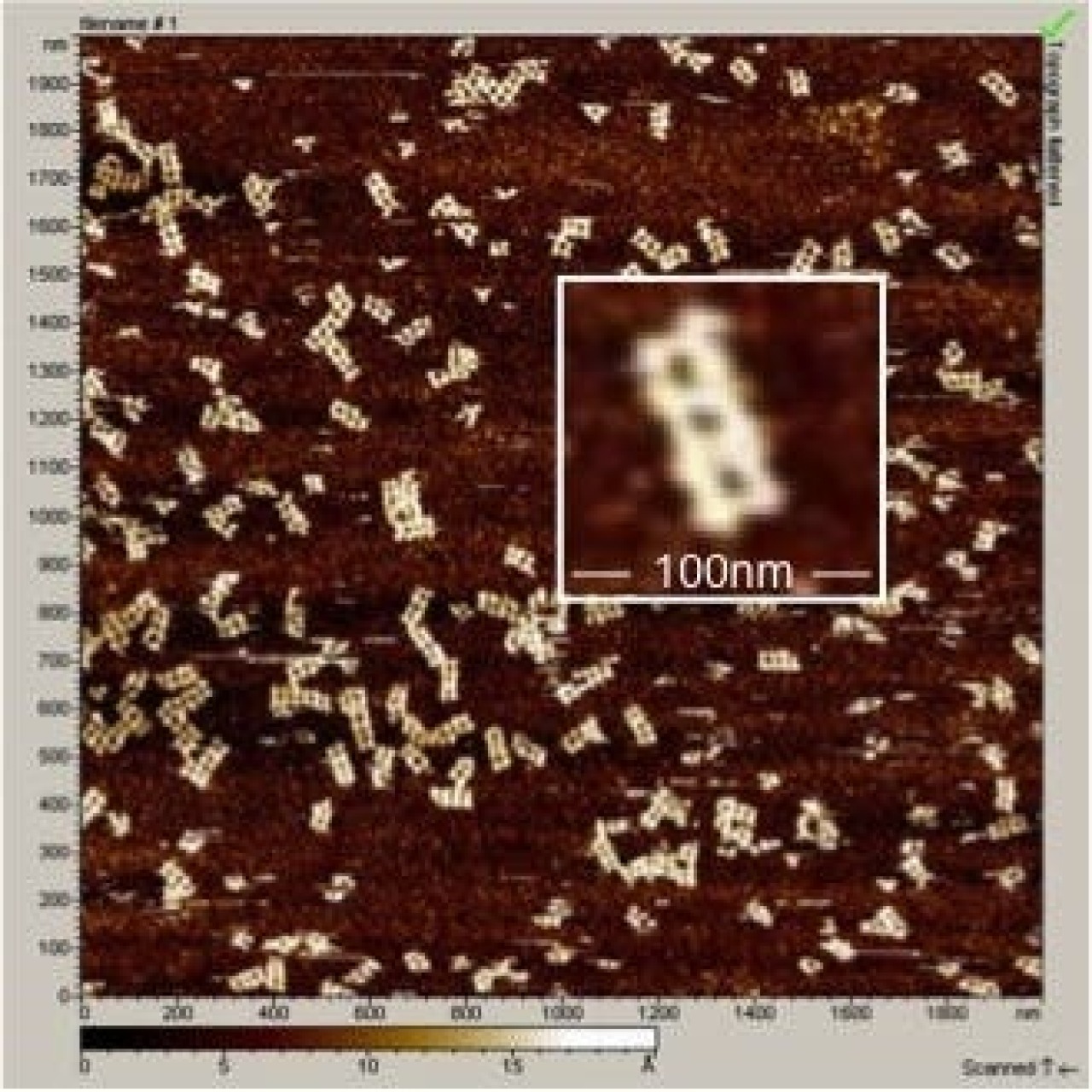 [IMAGE] Drag-and-drop and synthetic DNA self-assembly makes drug design easier